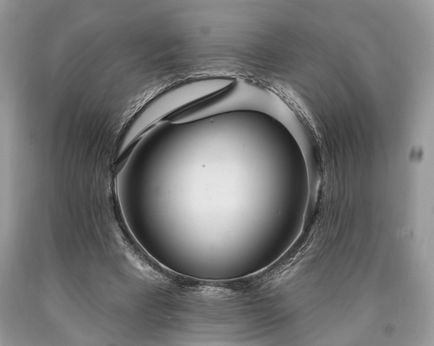 X0000090500393200707201551