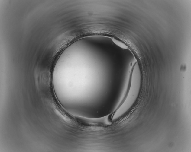 X0000090500397200707201551