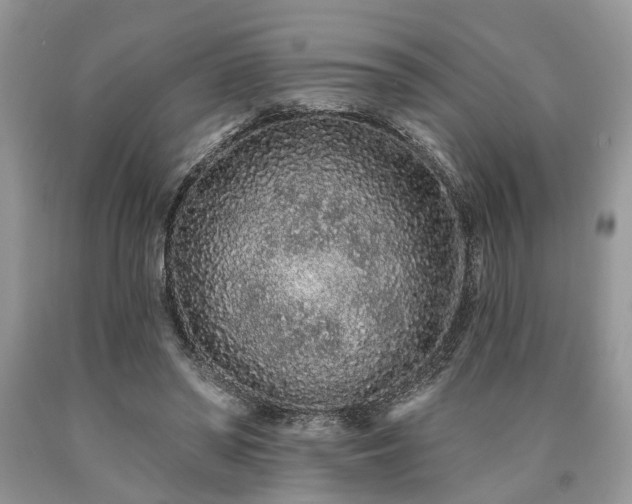 X0000090500398200707201551