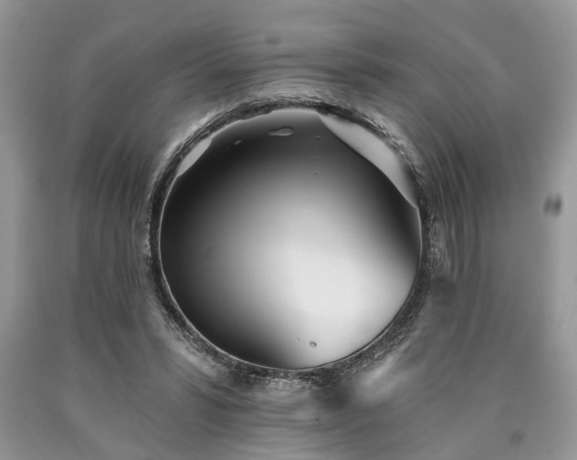 X0000090500399200707201551