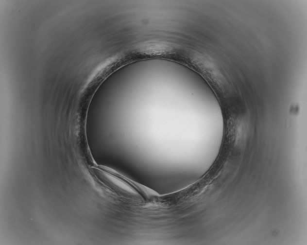 X0000090500400200707201551