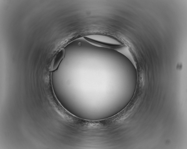 X0000090500401200707201551