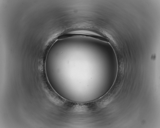 X0000090500403200707201551