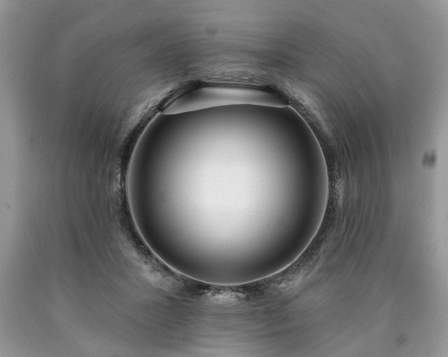 X0000090500407200707201551