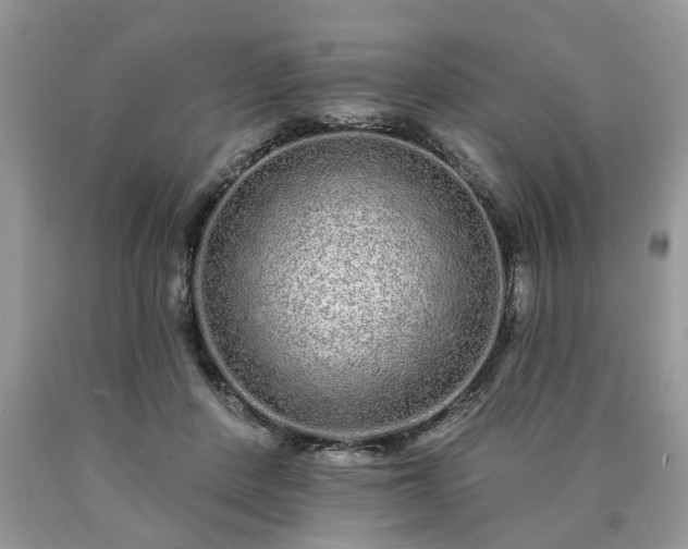 X0000090500408200707201551