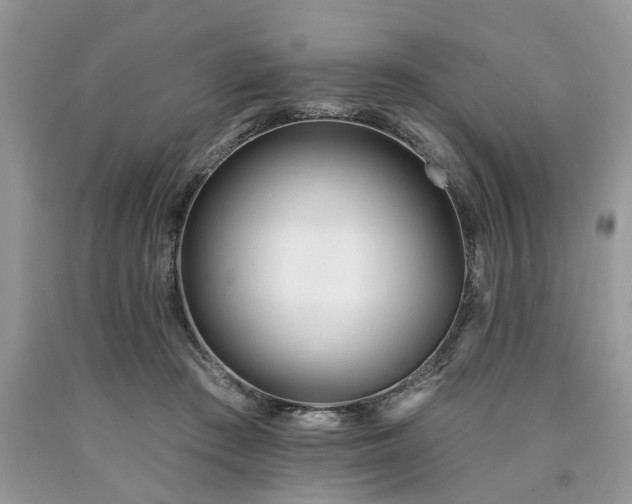 X0000090500409200707201551