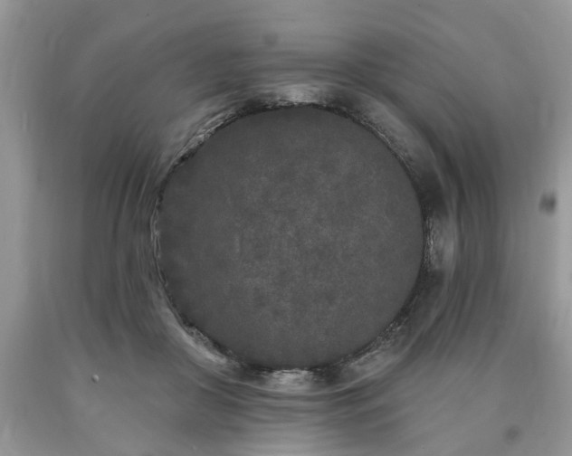 X0000090500410200707201551