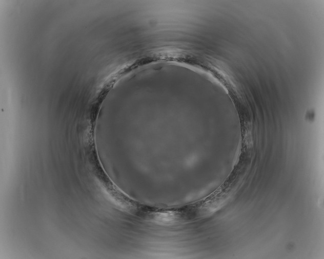 X0000090500411200707201551