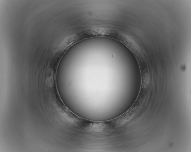 X0000090500414200707201551