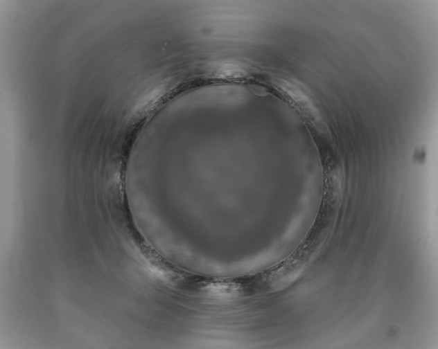 X0000090500415200707201551
