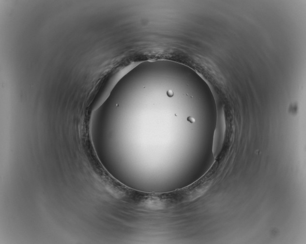 X0000090500416200707201551