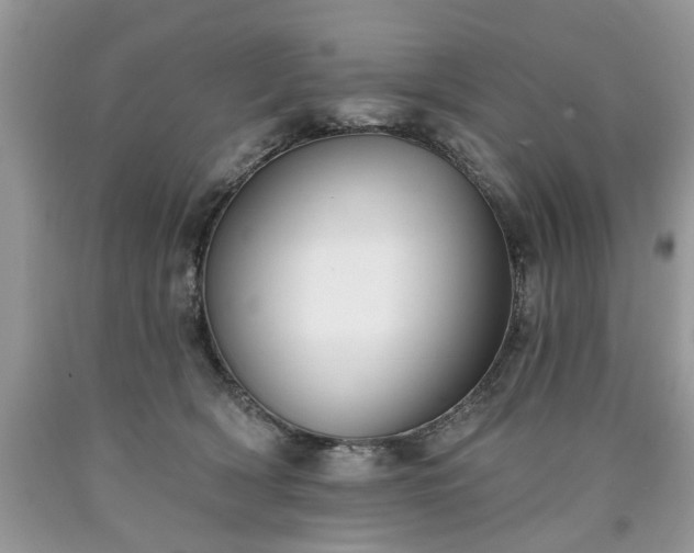 X0000090500418200707201551