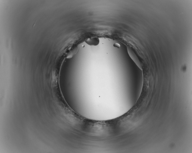 X0000090500420200707201551