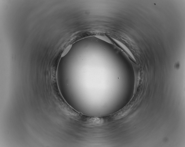 X0000090500421200707201551