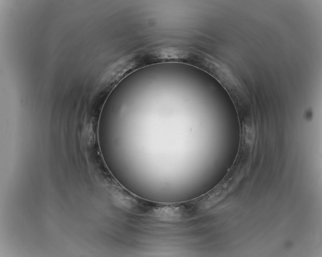 X0000090500422200707201551