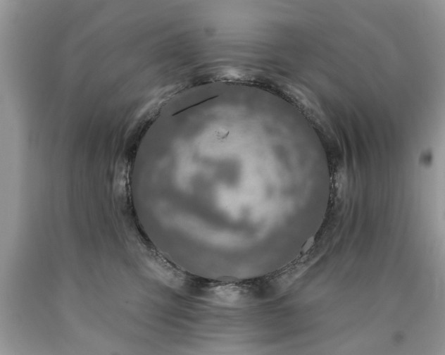 X0000090500423200707201551