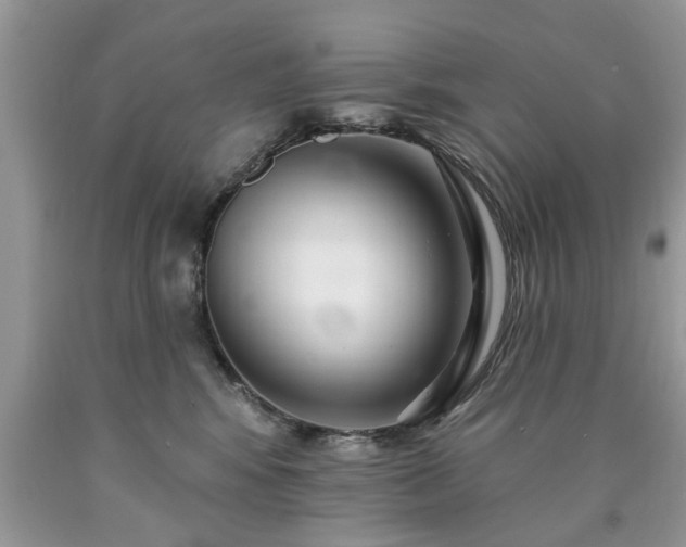X0000090500424200707201551
