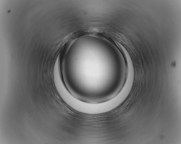 X0000090500425200707201551