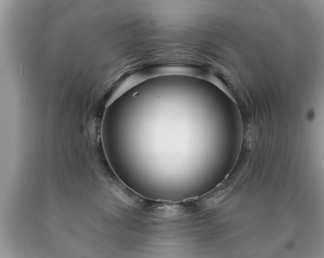 X0000090500428200707201551