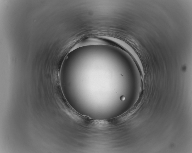 X0000090500429200707201551