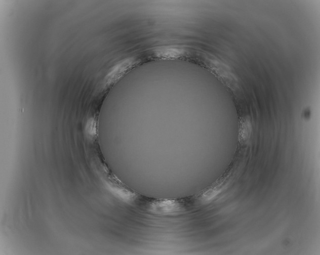X0000090500431200707201551