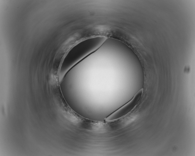 X0000090500432200707201551