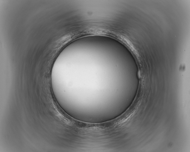 X0000090500433200707201550