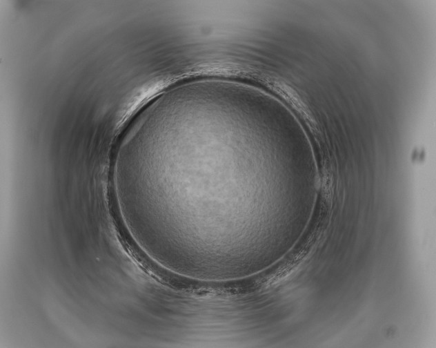 X0000090500434200707201550