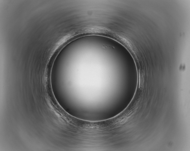 X0000090500435200707201550