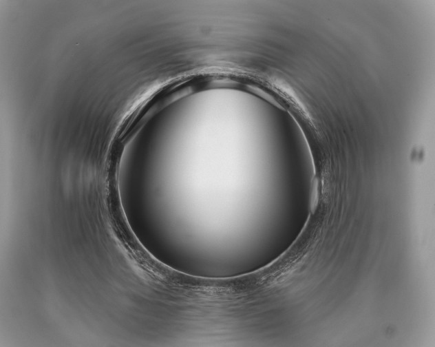 X0000090500436200707201550