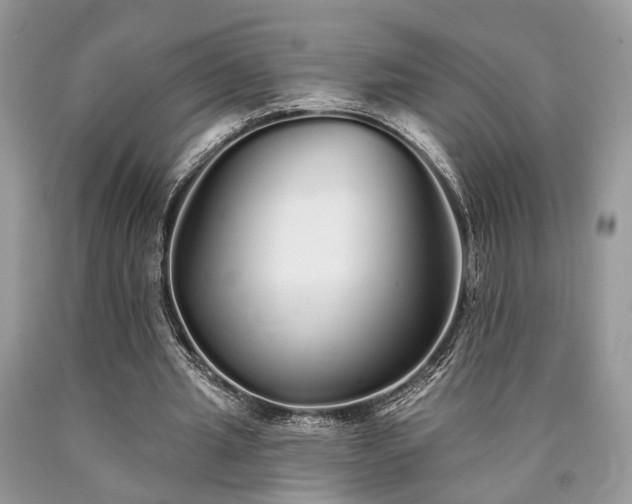 X0000090500437200707201550