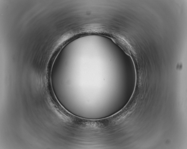 X0000090500439200707201550