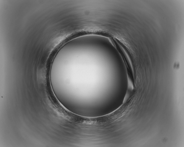 X0000090500440200707201550
