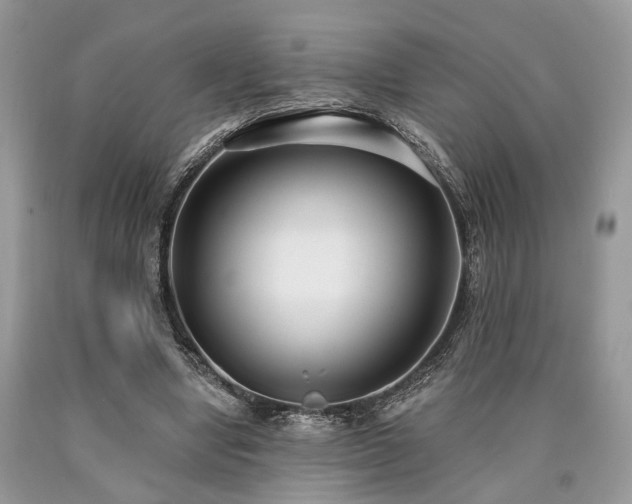 X0000090500442200707201550