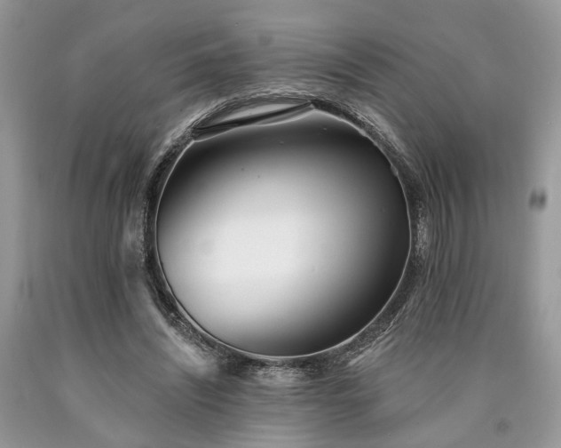 X0000090500444200707201550