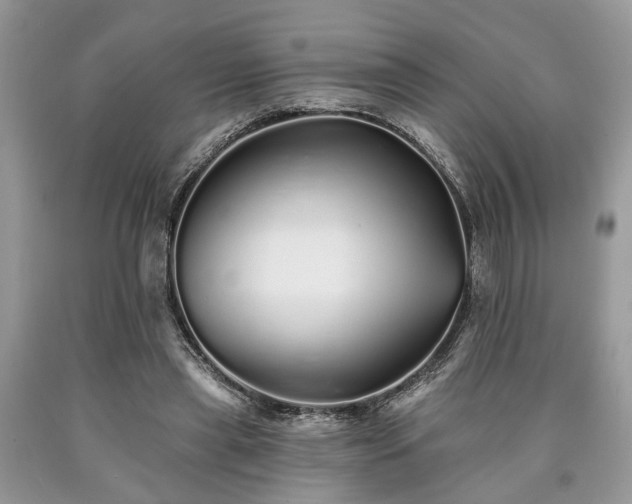 X0000090500445200707201550