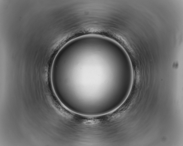 X0000090500447200707201550