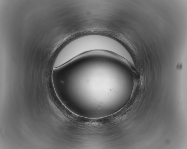 X0000090500448200707201550