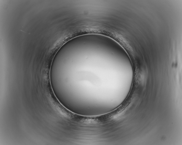 X0000090500449200707201550
