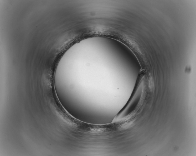 X0000090500450200707201550