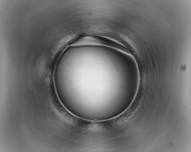X0000090500451200707201550