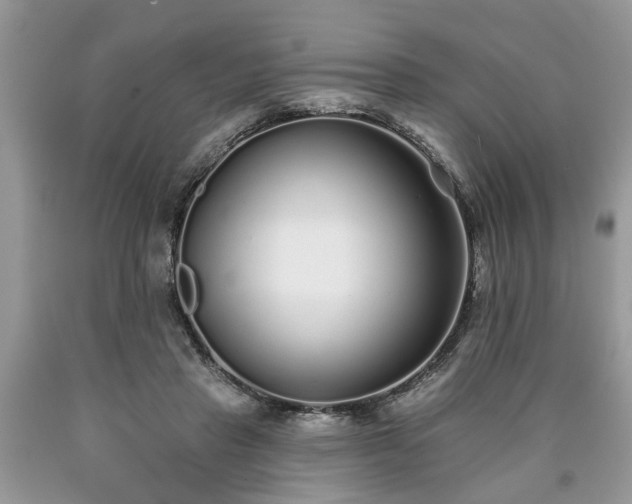 X0000090500453200707201550