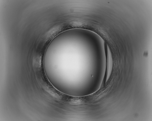 X0000090500454200707201550