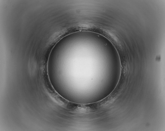 X0000090500455200707201550