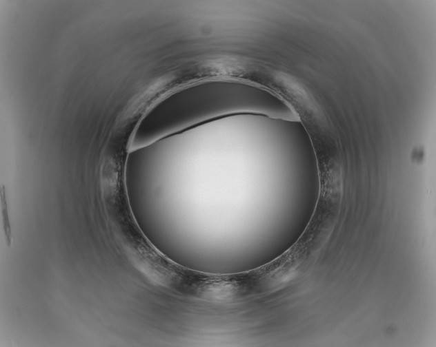 X0000090500456200707201550