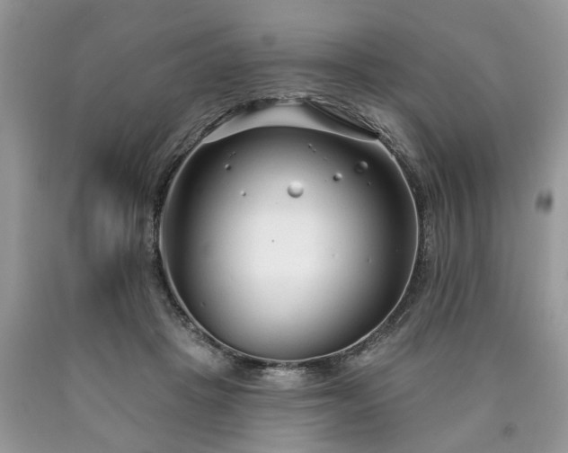 X0000090500457200707201550