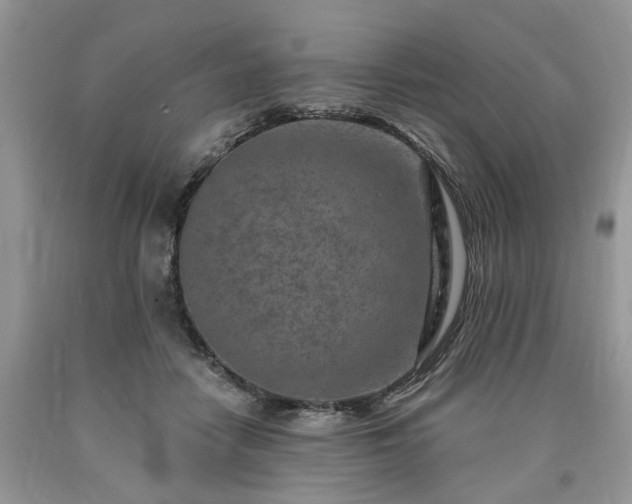 X0000090500458200707201550