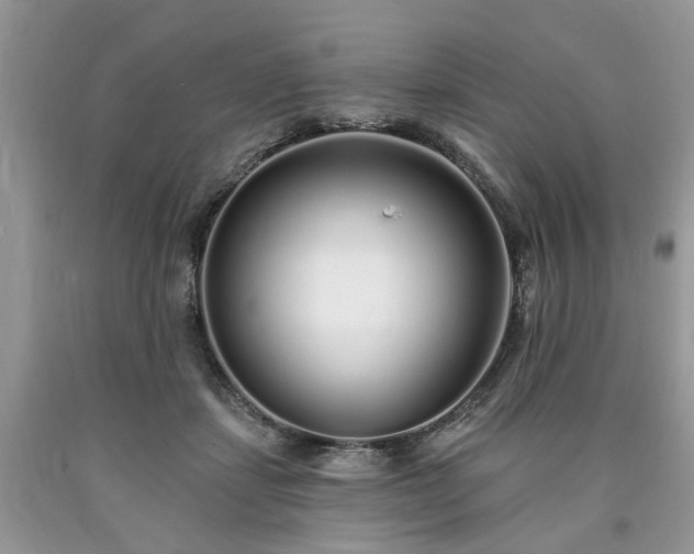 X0000090500459200707201550