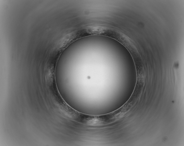 X0000090500460200707201550