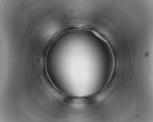X0000090500461200707201550